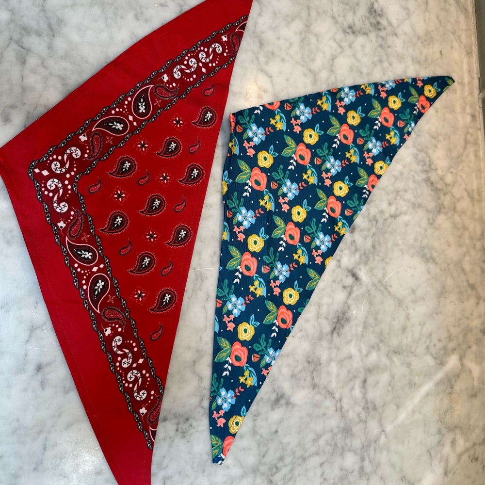 Set of Two Pet Bandanas by Frisco (Chewy) XS/S